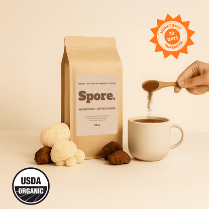 Mushroom + Coffee Fusion (Lion's Mane and Chaga)