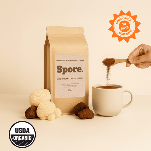 Mushroom + Coffee Fusion (Lion's Mane and Chaga)