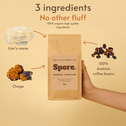 Mushroom + Coffee Fusion (Lion's Mane and Chaga)