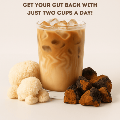 Mushroom + Coffee Fusion (Lion's Mane and Chaga)